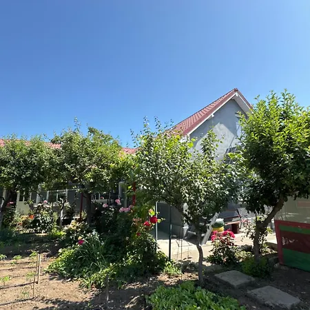 La Anica Gasthuis Mangalia